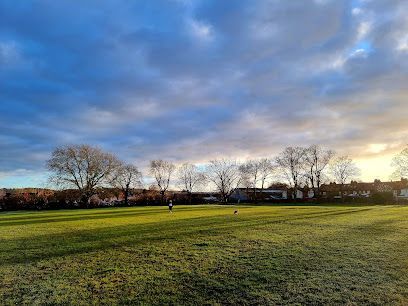Riley Park